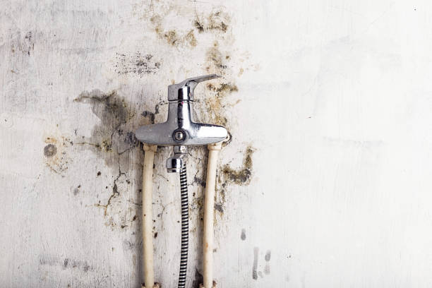 Best Water Damage Restoration  in Titusville, PA