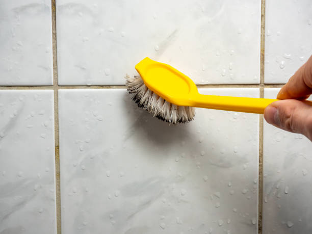 Best Mold Remediation  in Titusville, PA