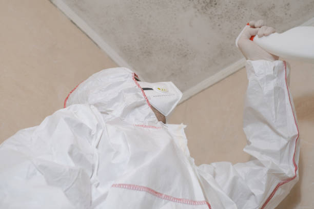 Best Mold Removal and Inspection  in Titusville, PA